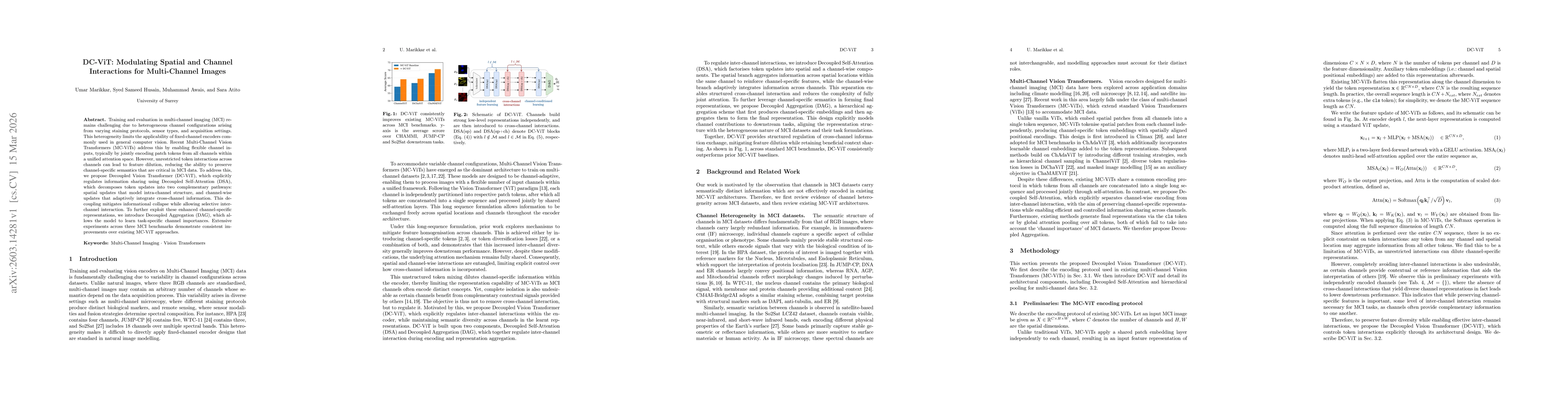 Thumbnail for DC-ViT: Modulating Spatial and Channel Interactions for Multi-Channel Images
