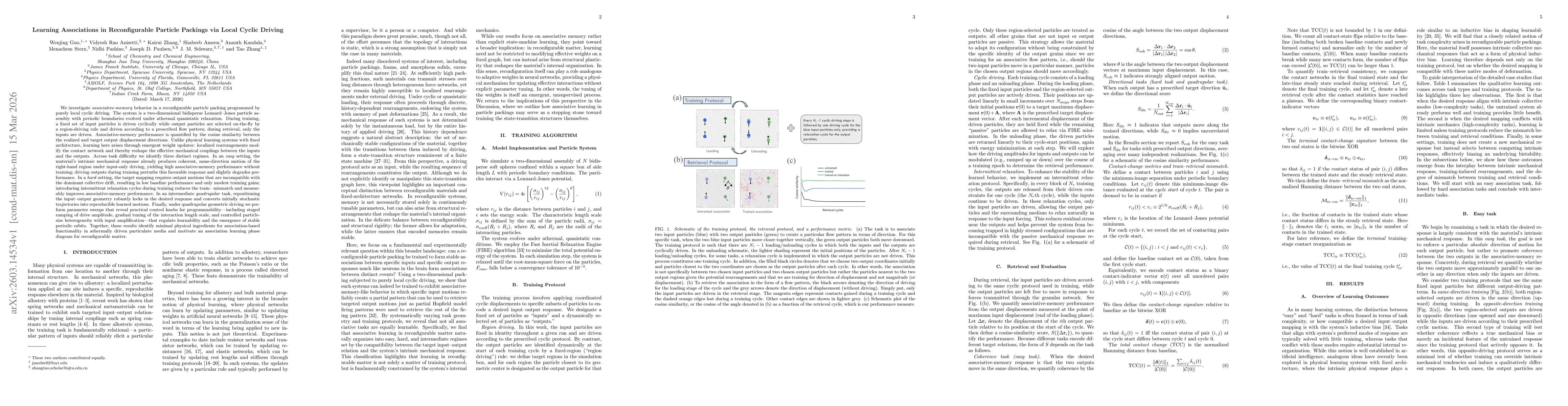 Thumbnail for Learning Associations in Reconfigurable Particle Packings via Local Cyclic Driving