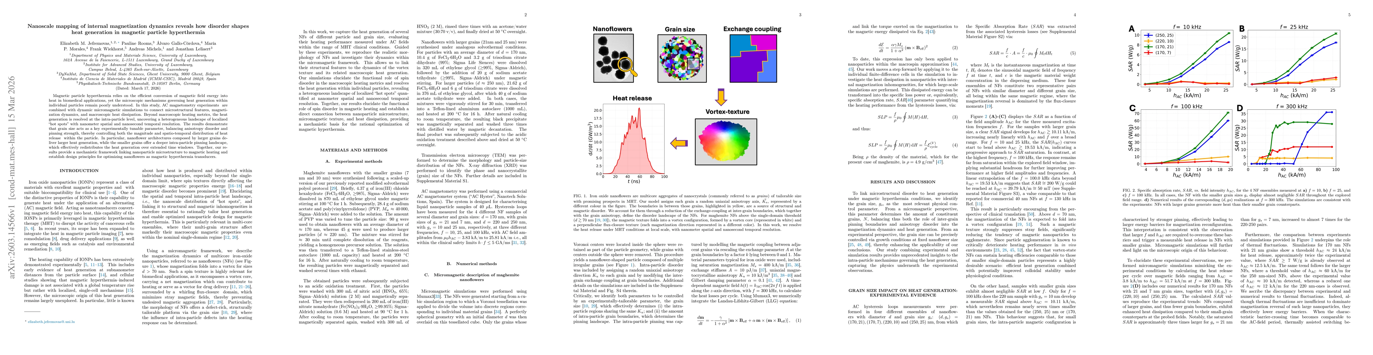 Thumbnail for Nanoscale mapping of internal magnetization dynamics reveals how disorder shapes heat generation in magnetic particle hyperthermia
