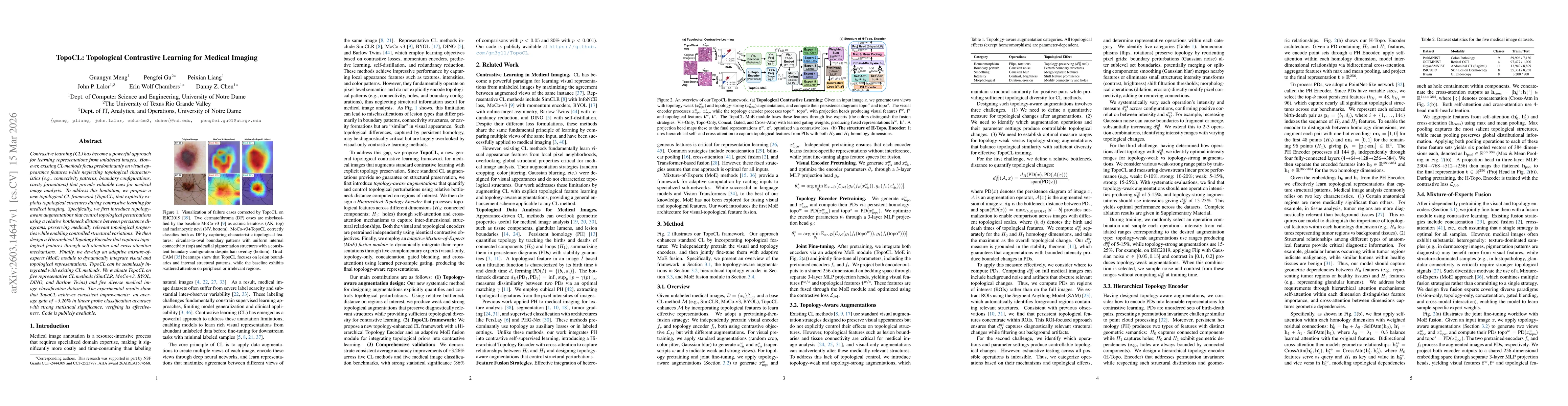Thumbnail for TopoCL: Topological Contrastive Learning for Medical Imaging