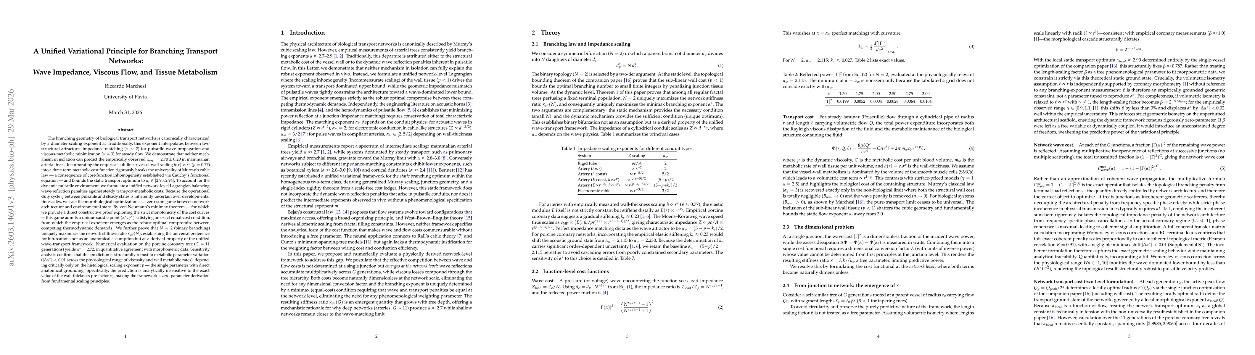 Thumbnail for A Unified Variational Principle for Branching Transport Networks: Wave Impedance, Viscous Flow, and Tissue Metabolism