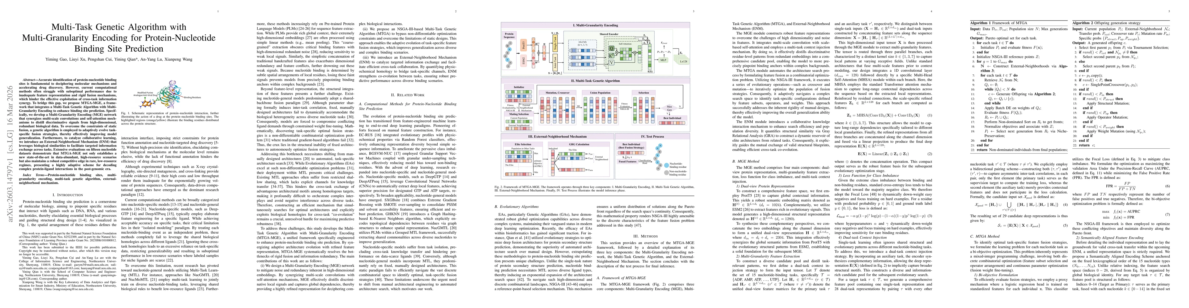Thumbnail for Multi-Task Genetic Algorithm with Multi-Granularity Encoding for Protein-Nucleotide Binding Site Prediction