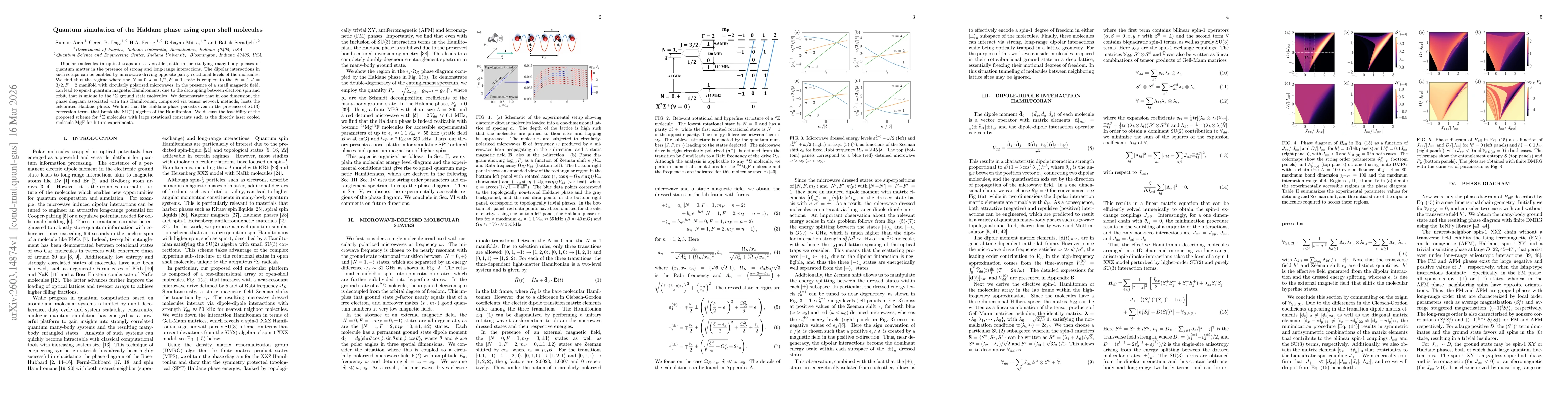 Thumbnail for Quantum simulation of the Haldane phase using open shell molecules