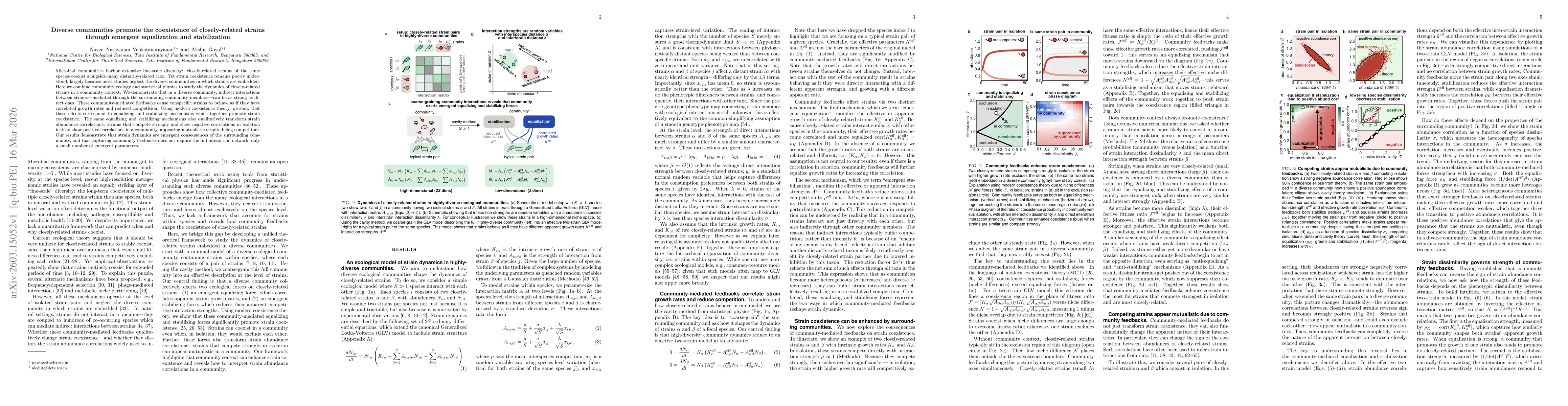 Thumbnail for Diverse communities promote the coexistence of closely-related strains through emergent equalization and stabilization