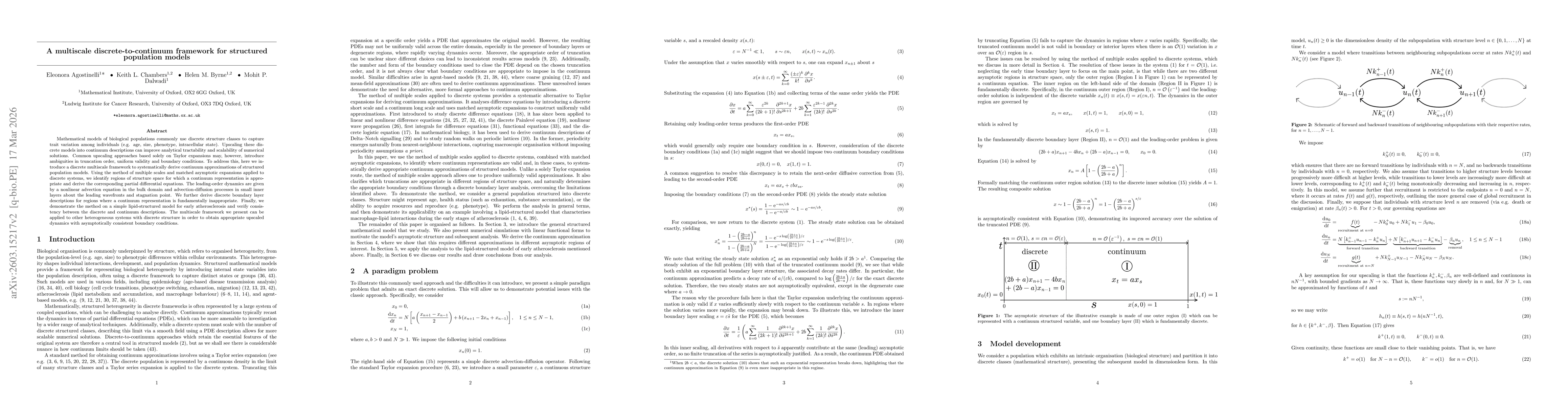 Thumbnail for A multiscale discrete-to-continuum framework for structured population models