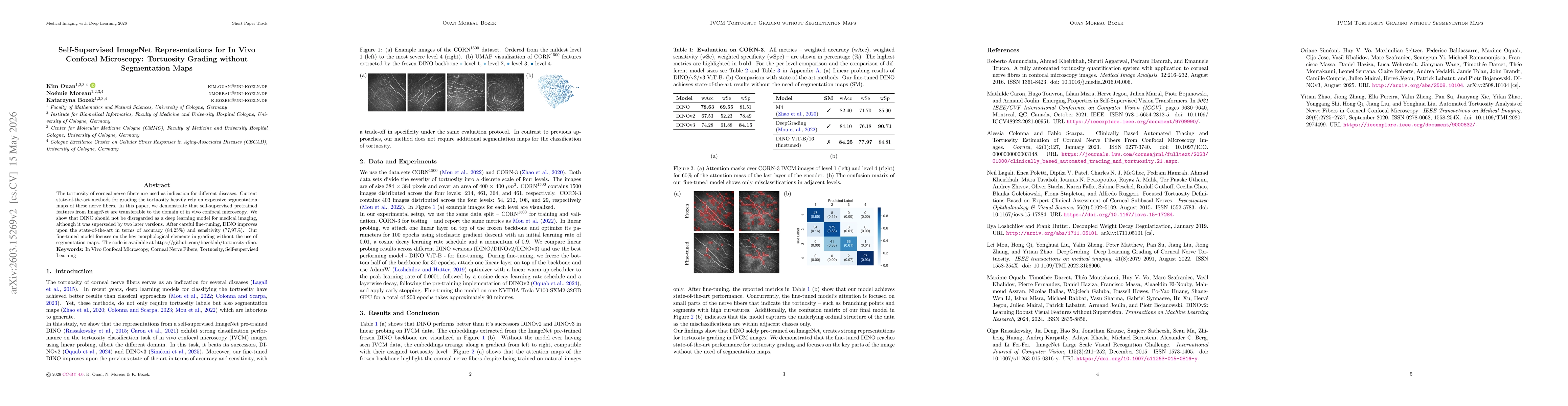 Thumbnail for Self-Supervised ImageNet Representations for In Vivo Confocal Microscopy: Tortuosity Grading without Segmentation Maps