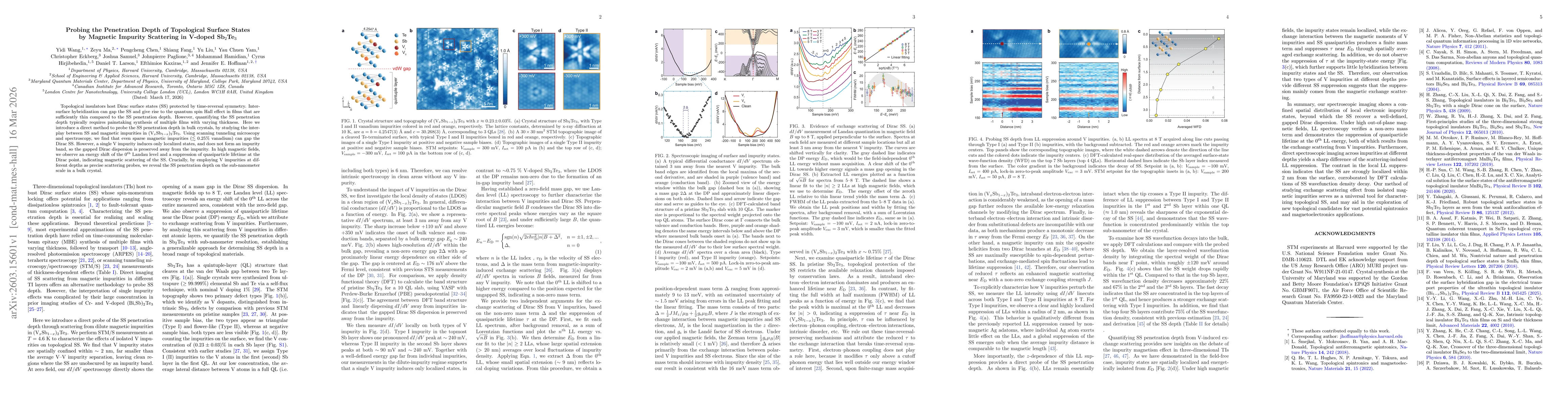 Thumbnail for Probing the Penetration Depth of Topological Surface States by Magnetic Impurity Scattering in V-doped Sb$_2$Te$_3$