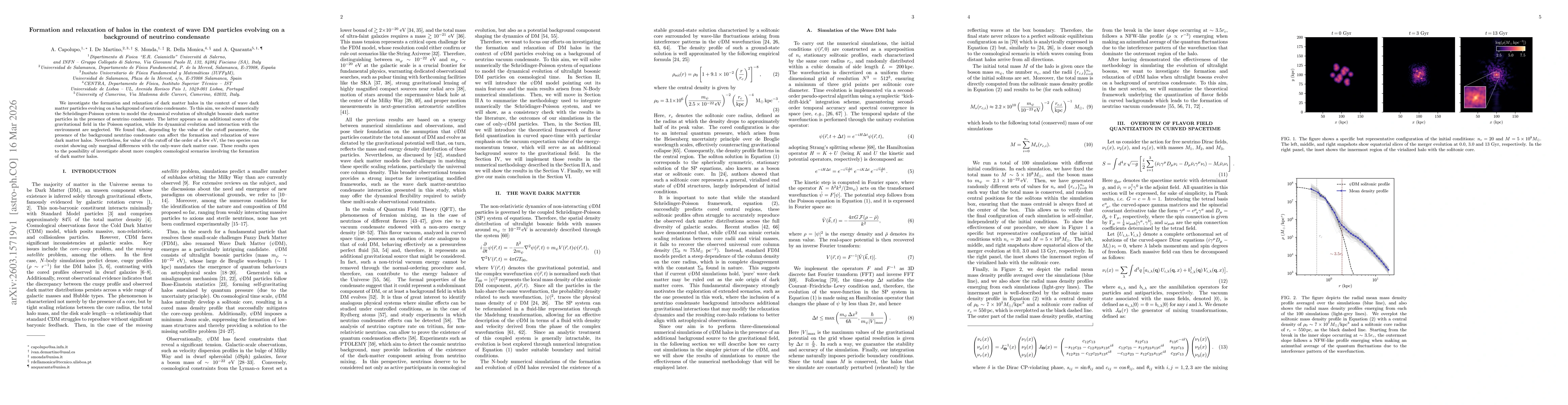 Thumbnail for Formation and relaxation of halos in the context of wave DM particles evolving on a background of neutrino condensate