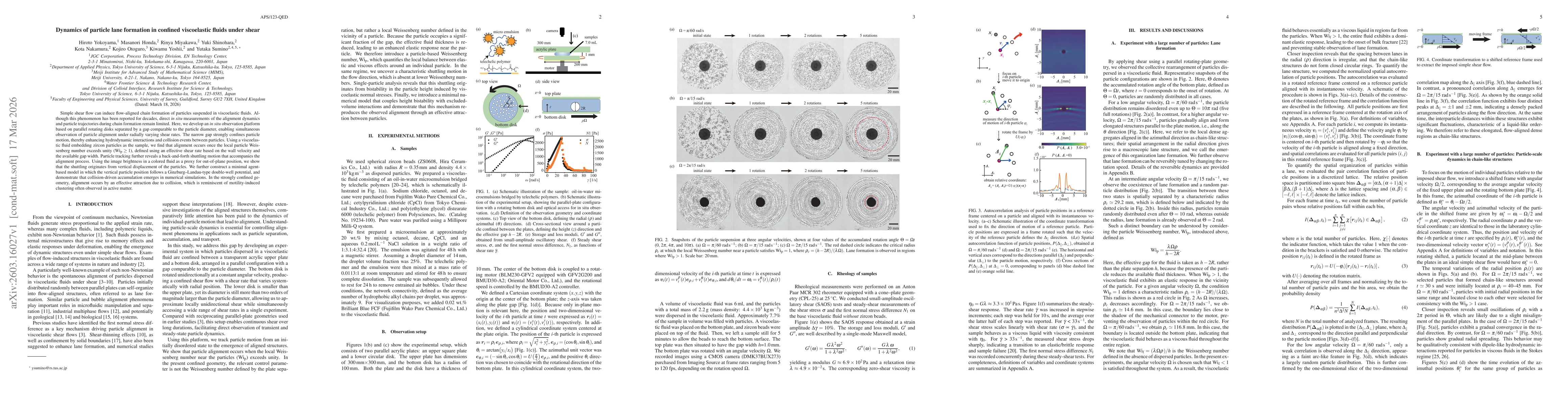 Thumbnail for Dynamics of particle lane formation in confined viscoelastic fluids under shear