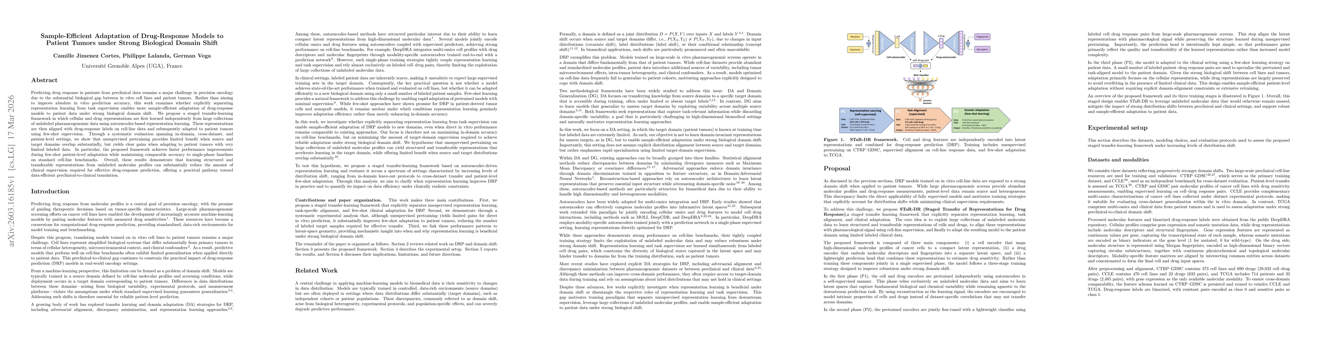 Thumbnail for Sample-Efficient Adaptation of Drug-Response Models to Patient Tumors under Strong Biological Domain Shift