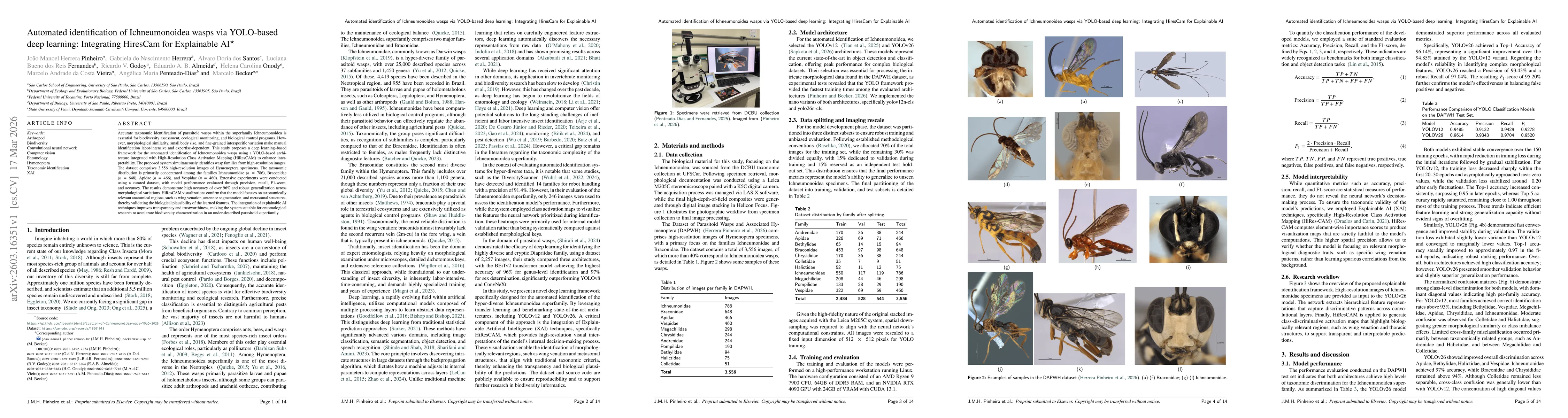 Thumbnail for Automated identification of Ichneumonoidea wasps via YOLO-based deep learning: Integrating HiresCam for Explainable AI