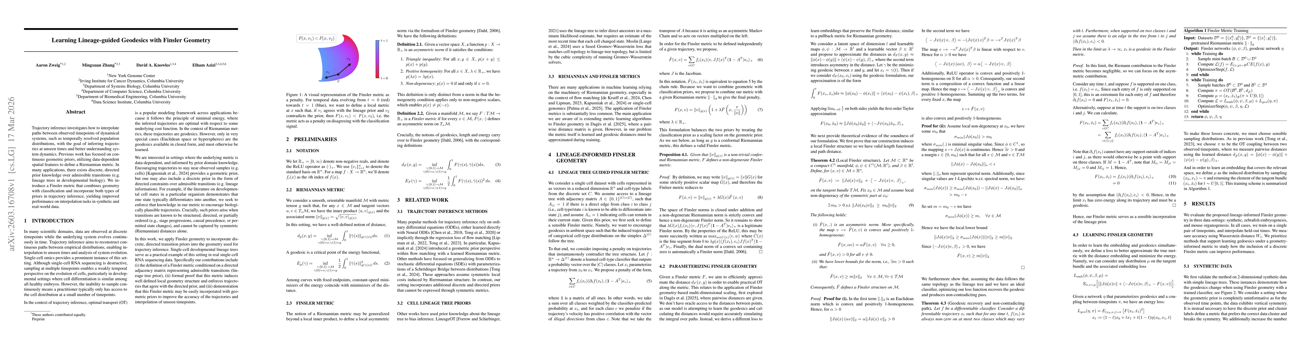 Thumbnail for Learning Lineage-guided Geodesics with Finsler Geometry