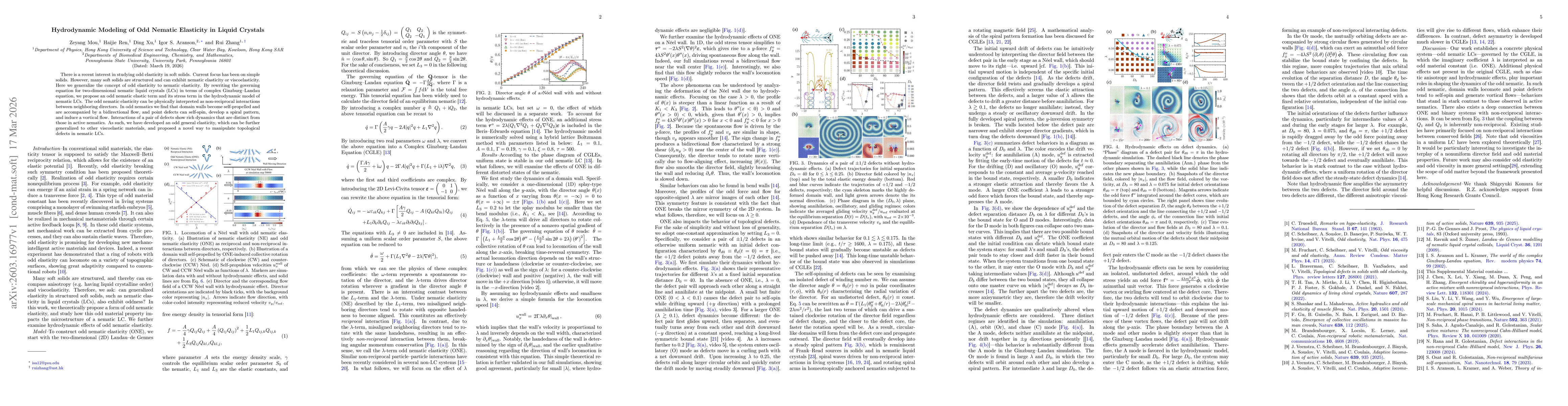 Thumbnail for Hydrodynamic Modeling of Odd Nematic Elasticity in Liquid Crystals