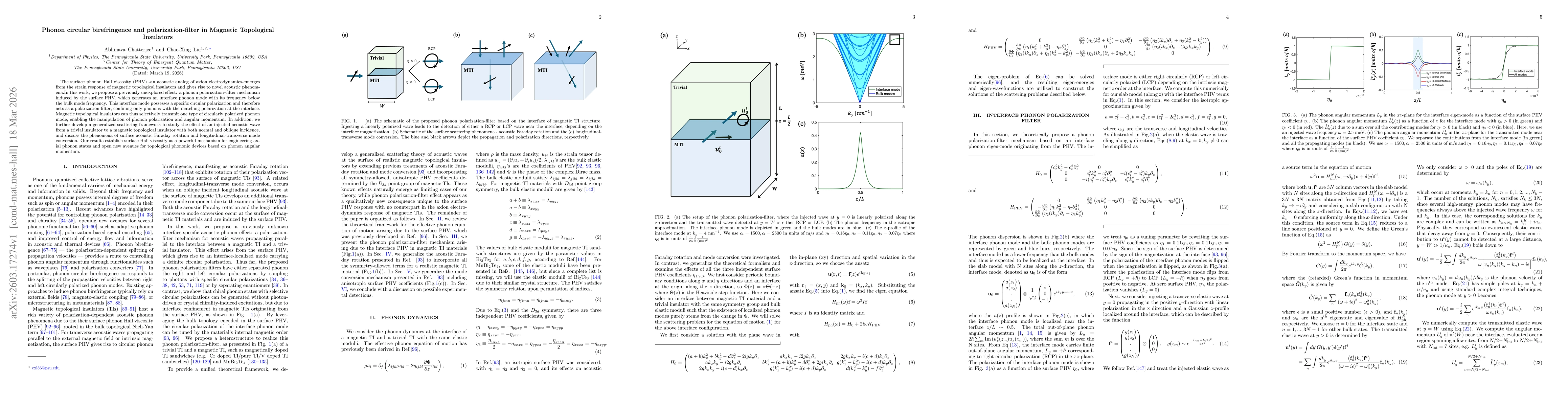 Thumbnail for Phonon circular birefringence and polarization-filter in Magnetic Topological Insulators