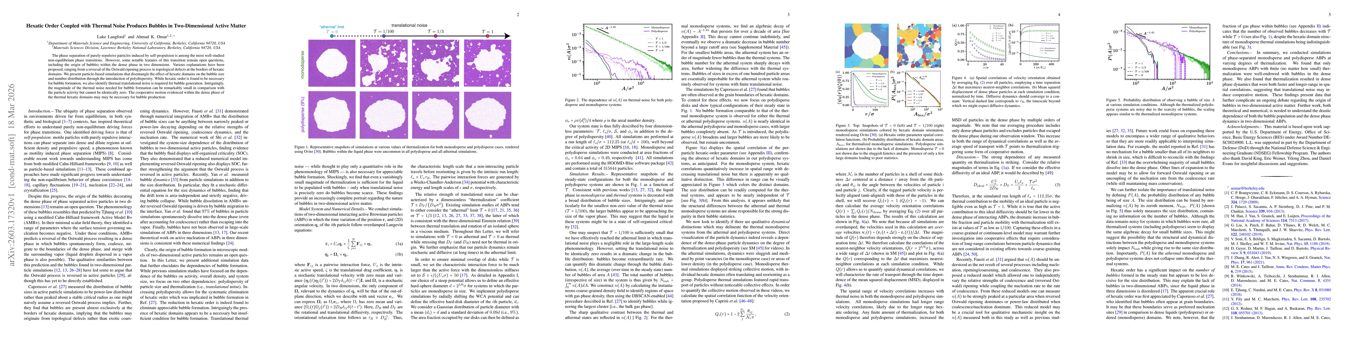Thumbnail for Hexatic Order Coupled with Thermal Noise Produces Bubbles in Two-Dimensional Active Matter