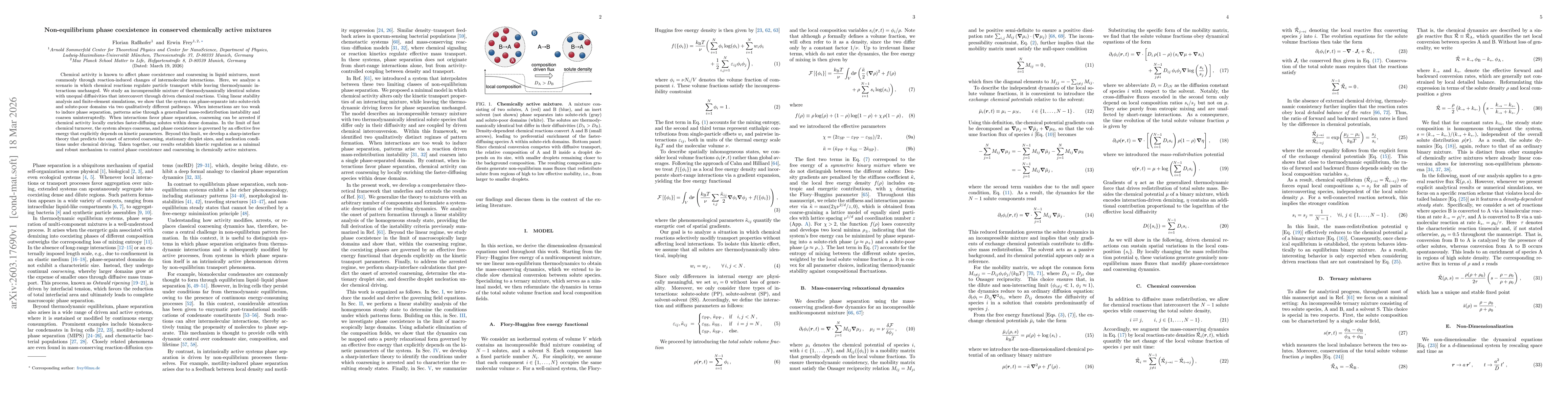 Thumbnail for Non-equilibrium phase coexistence in conserved chemically active mixtures