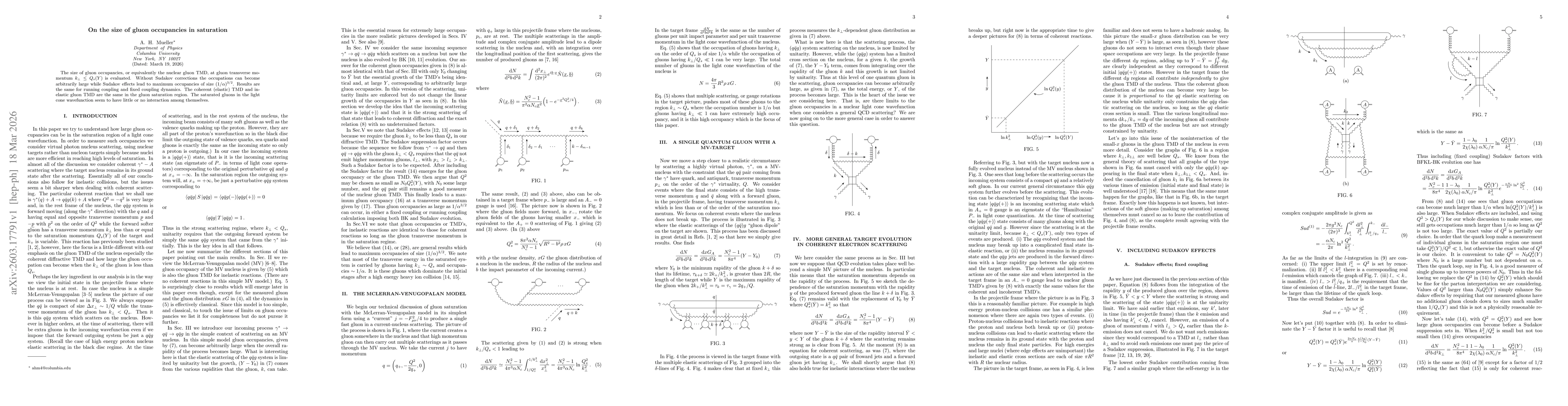 Thumbnail for On the size of gluon occupancies in saturation