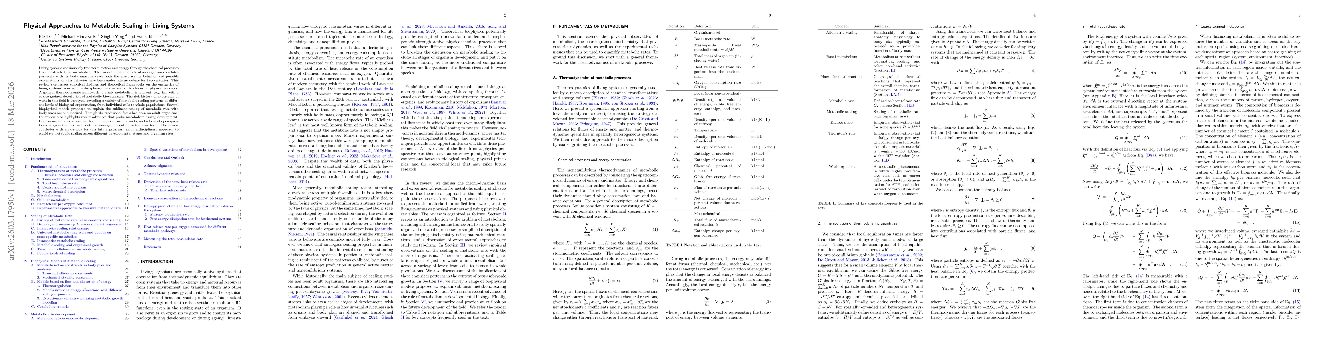 Thumbnail for Physical Approaches to Metabolic Scaling in Living Systems