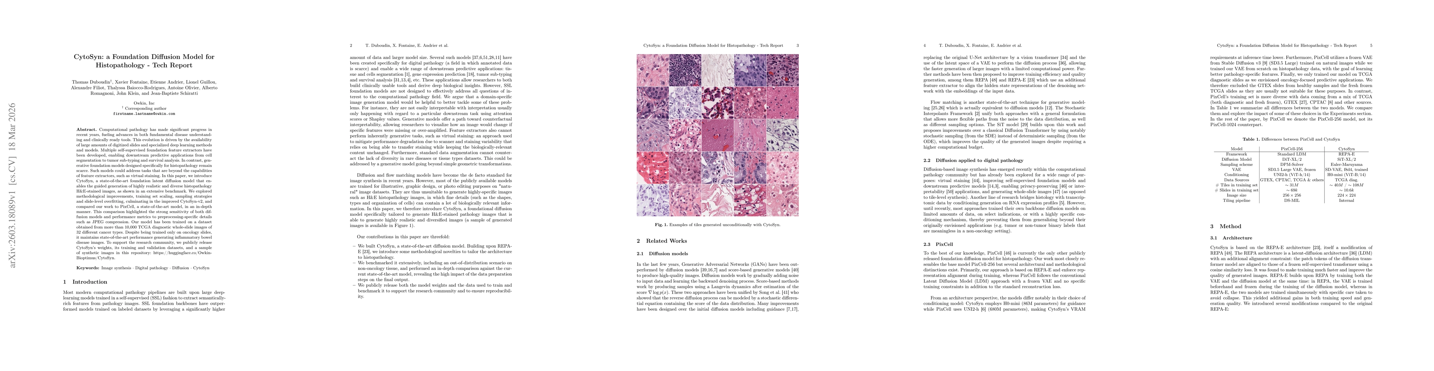 Thumbnail for CytoSyn: a Foundation Diffusion Model for Histopathology -- Tech Report