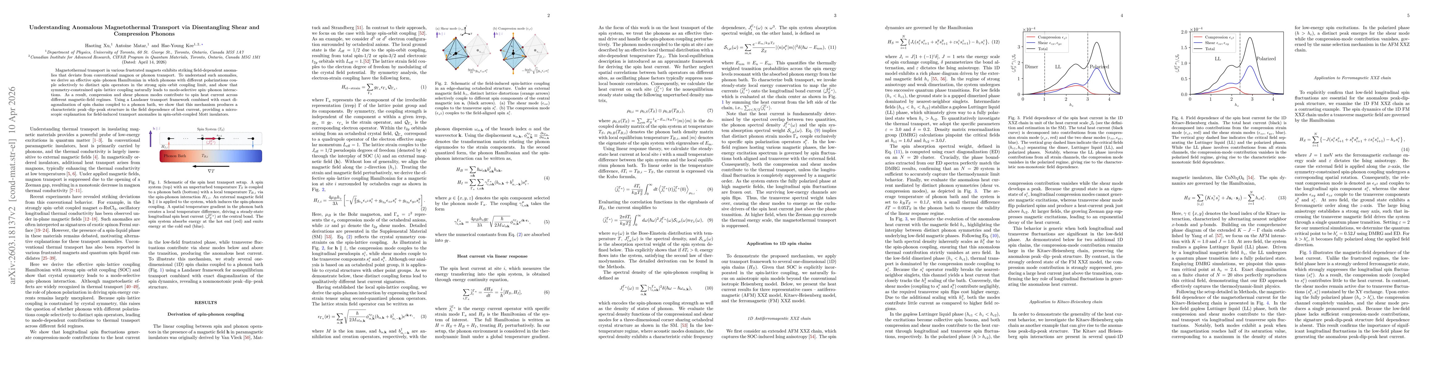 Thumbnail for Disentangling Shear and Compression Phonons: Route to Anomalous Magnetothermal Transport