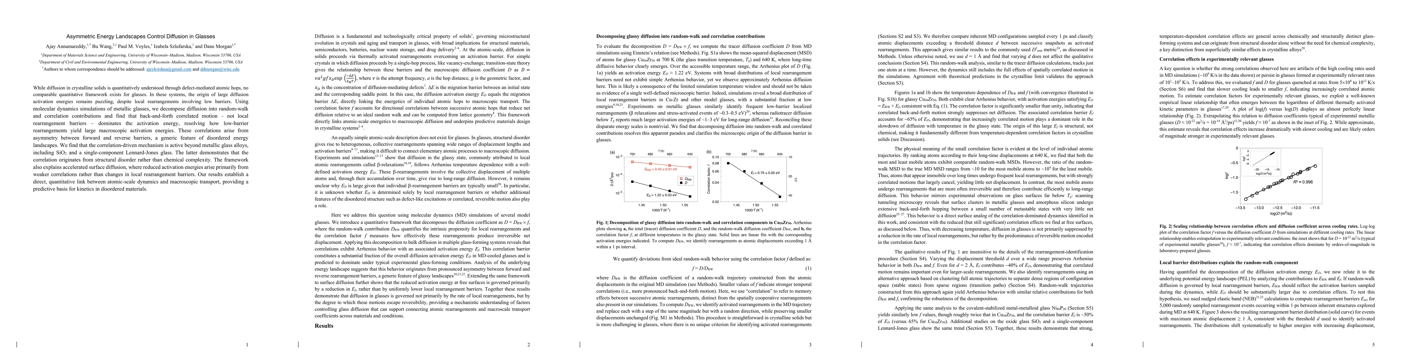 Thumbnail for Asymmetric Energy Landscapes Control Diffusion in Glasses