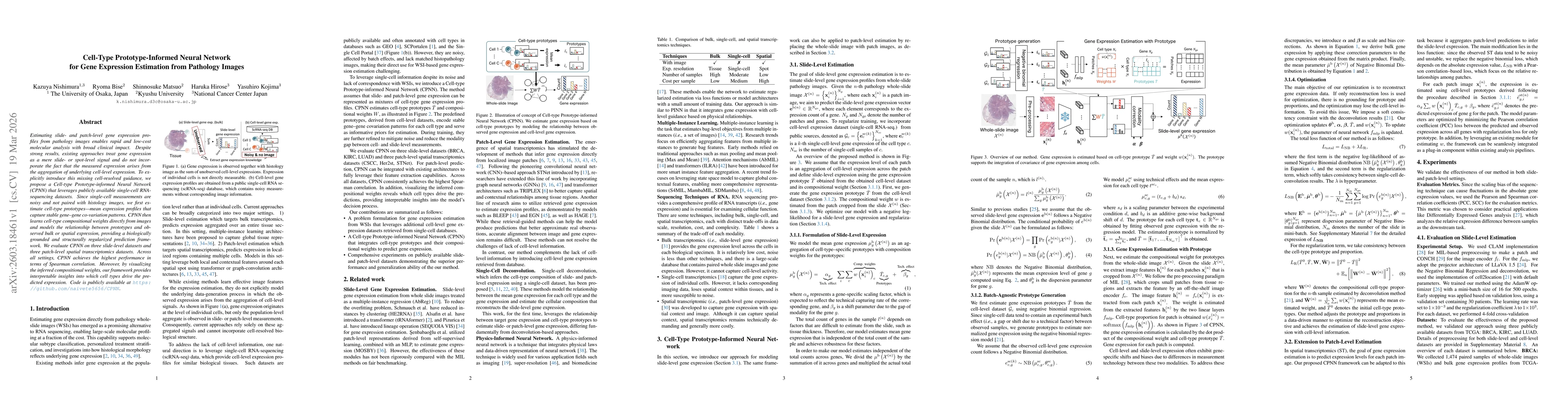 Thumbnail for Cell-Type Prototype-Informed Neural Network for Gene Expression Estimation from Pathology Images