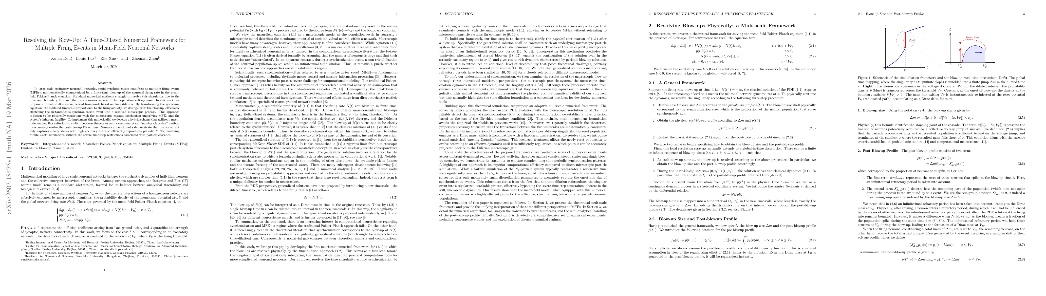 Thumbnail for Resolving the Blow-Up: A Time-Dilated Numerical Framework for Multiple Firing Events in Mean-Field Neuronal Networks