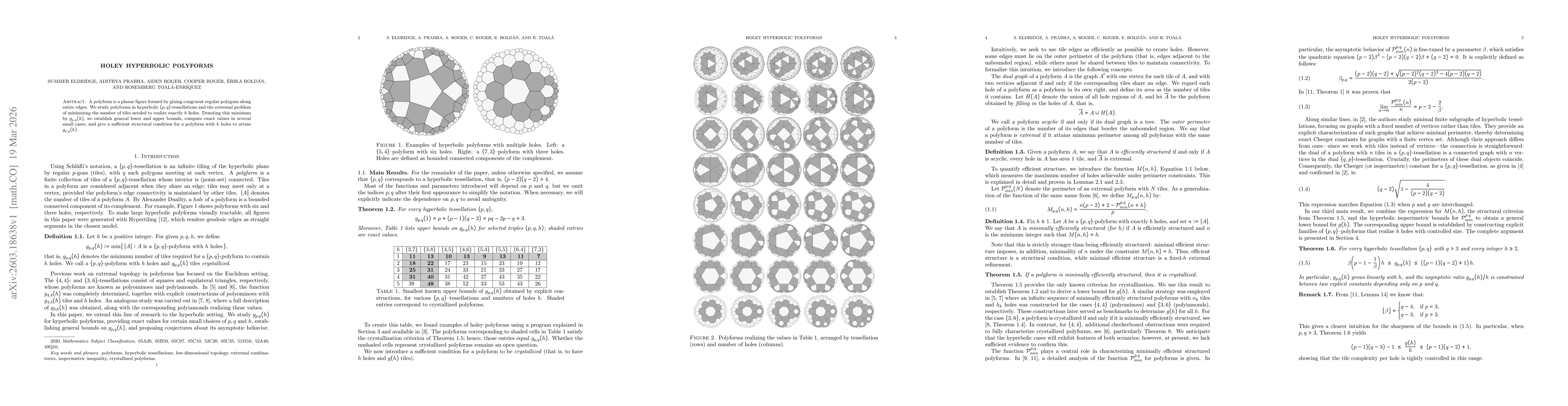 Thumbnail for Holey Hyperbolic Polyforms