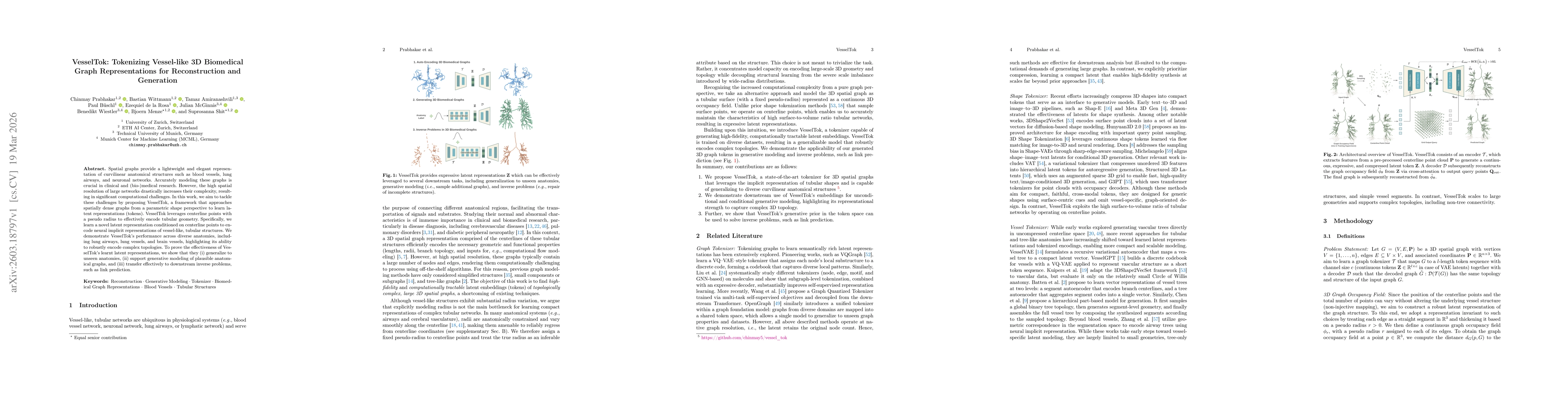 Thumbnail for VesselTok: Tokenizing Vessel-like 3D Biomedical Graph Representations for Reconstruction and Generation