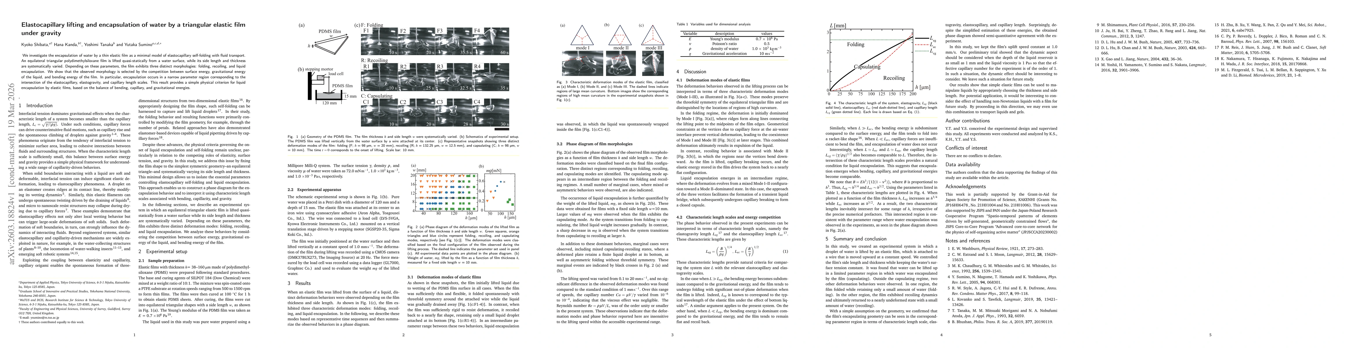 Thumbnail for Elastocapillary lifting and encapsulation of water by a triangular elastic film under gravity