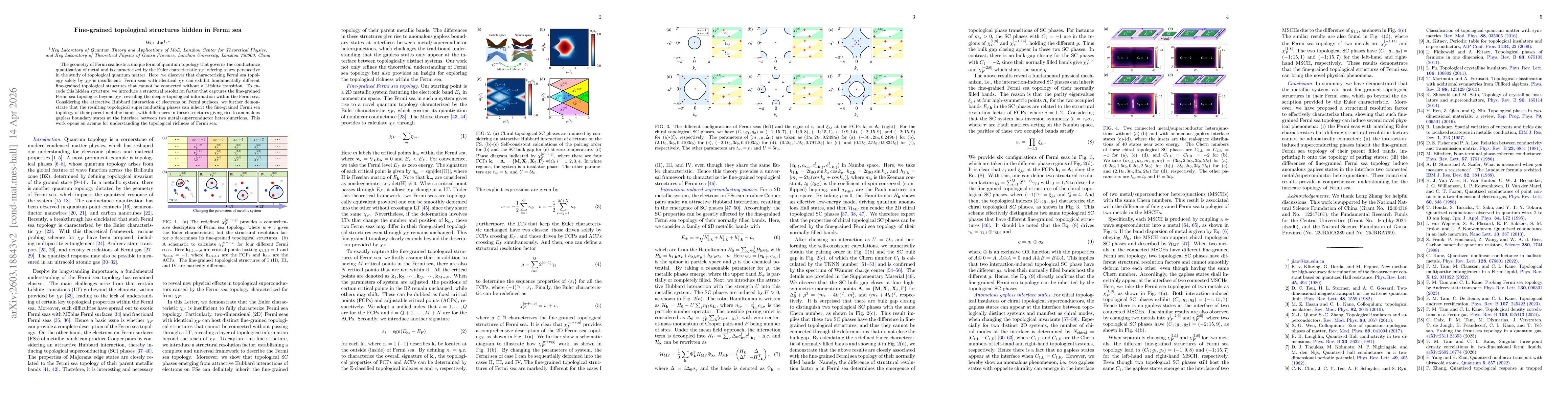 Thumbnail for Fine-grained topological structures hidden in Fermi sea
