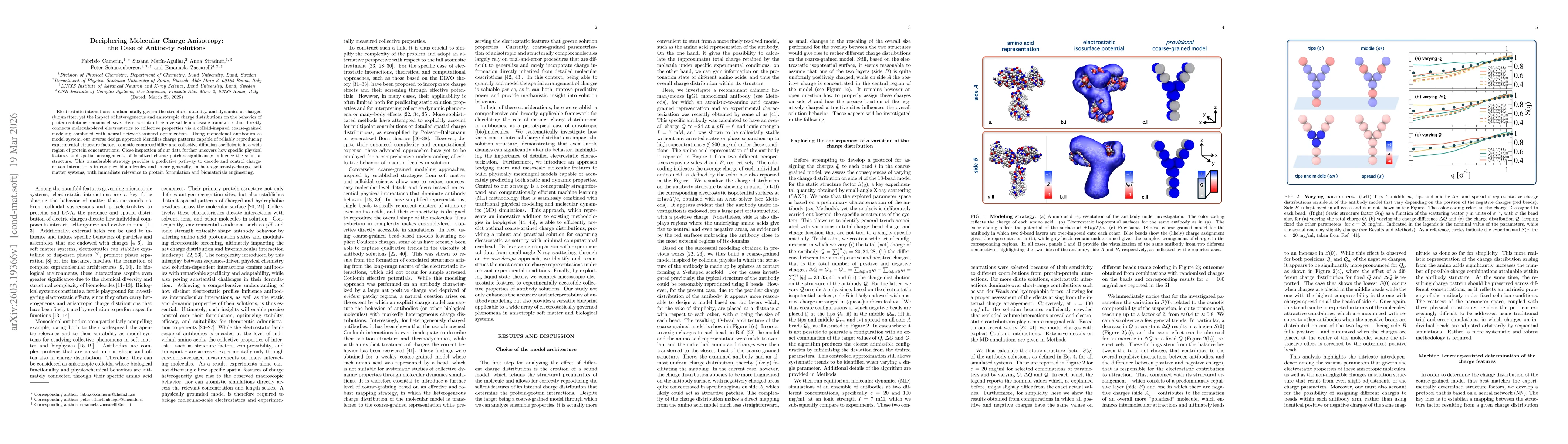 Thumbnail for Deciphering Molecular Charge Anisotropy: the Case of Antibody Solutions