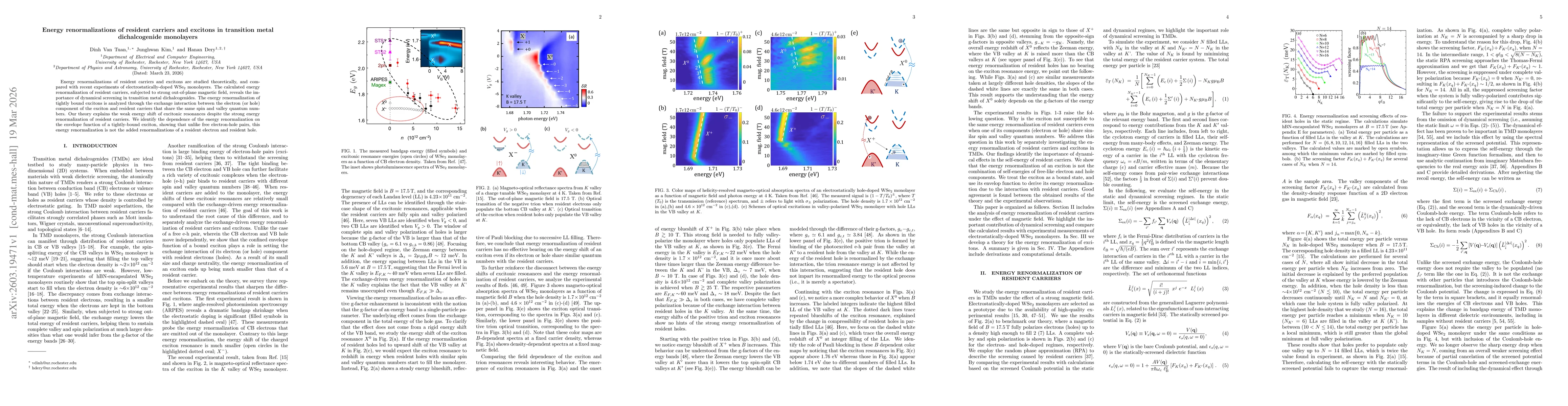 Thumbnail for Energy renormalizations of resident carriers and excitons in transition metal dichalcogenide monolayers