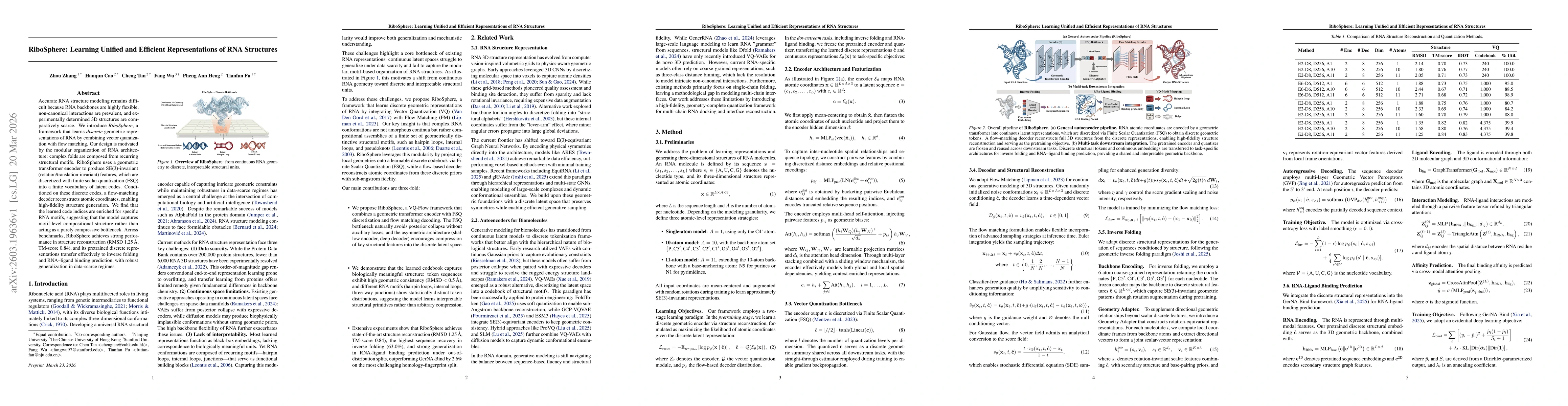 Thumbnail for RiboSphere: Learning Unified and Efficient Representations of RNA Structures