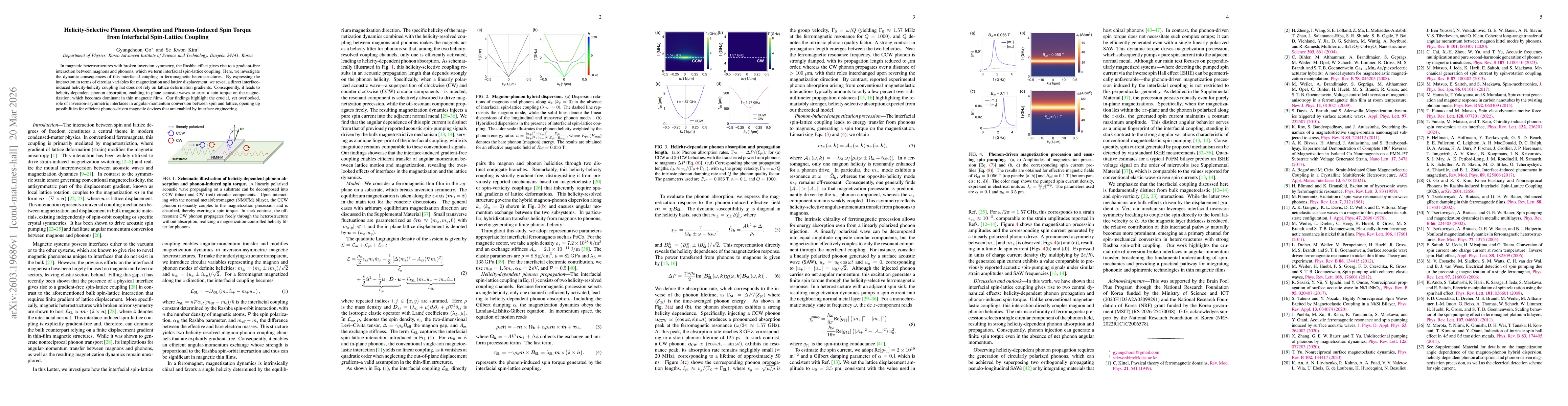 Thumbnail for Helicity-Selective Phonon Absorption and Phonon-Induced Spin Torque from Interfacial Spin-Lattice Coupling