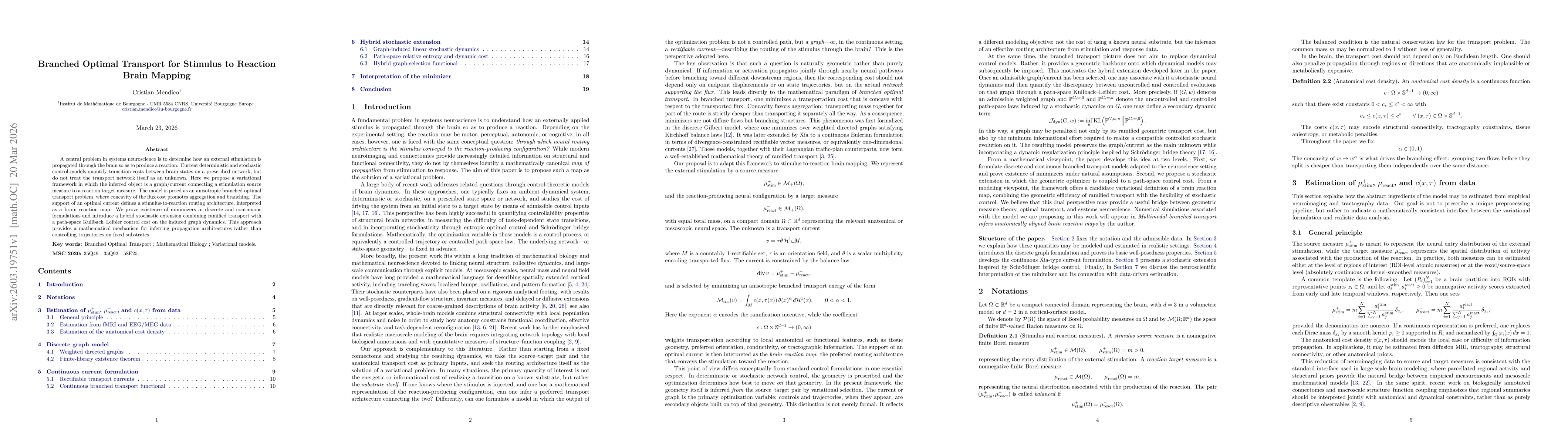Thumbnail for Branched Optimal Transport for Stimulus to Reaction Brain Mapping