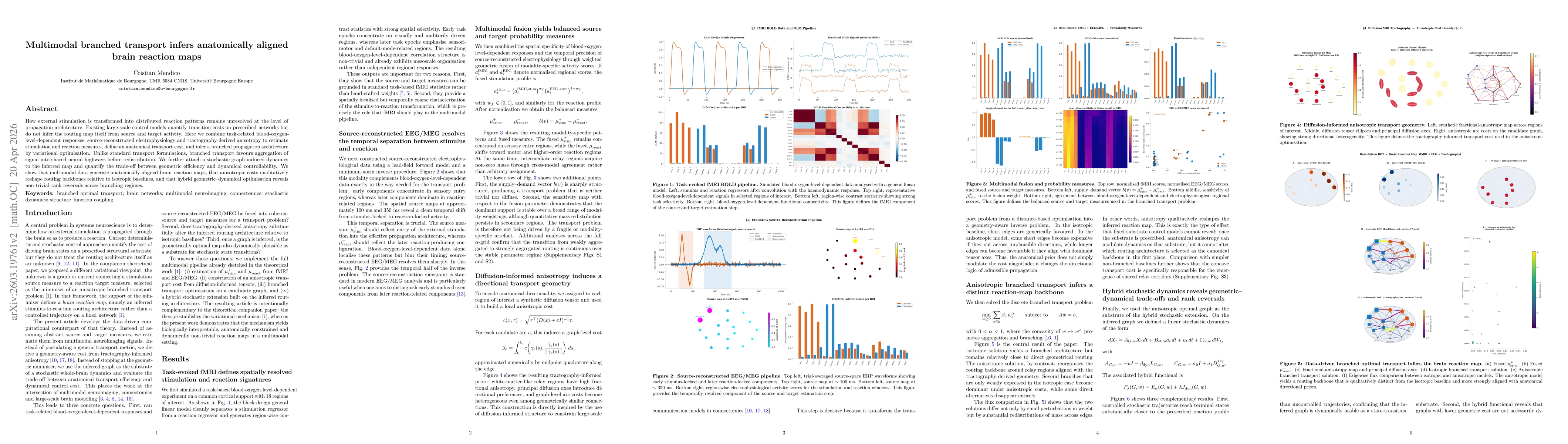 Thumbnail for Multimodal branched transport infers anatomically aligned brain reaction maps
