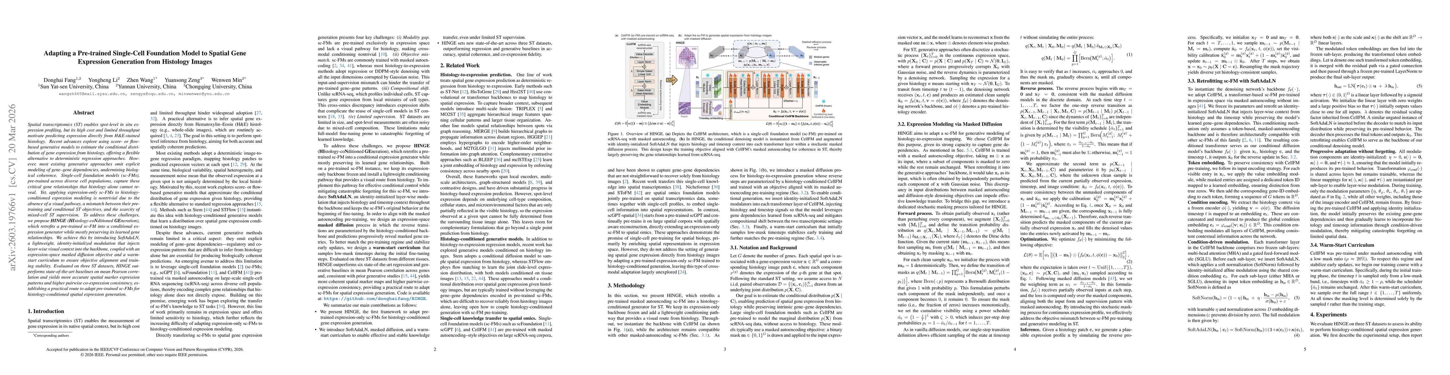 Thumbnail for Adapting a Pre-trained Single-Cell Foundation Model to Spatial Gene Expression Generation from Histology Images