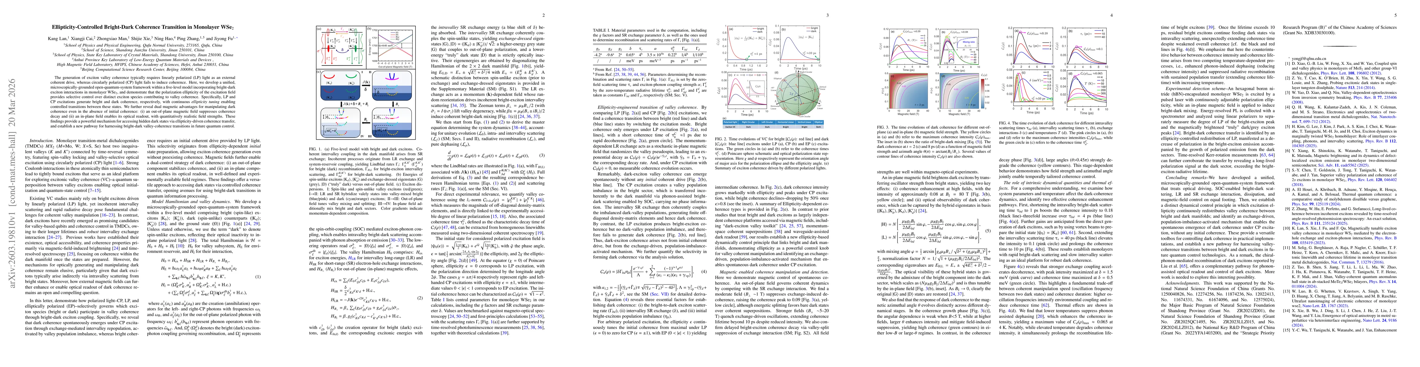 Thumbnail for Ellipticity-Controlled Bright-Dark Coherence Transition in Monolayer WSe2