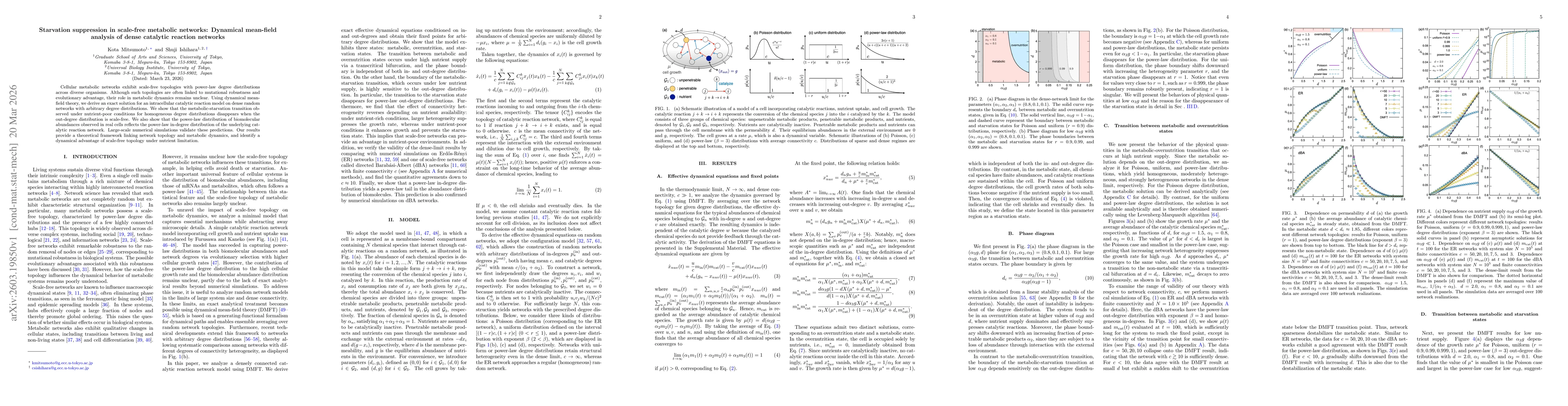Thumbnail for Starvation suppression in scale-free metabolic networks: Dynamical mean-field analysis of dense catalytic reaction networks