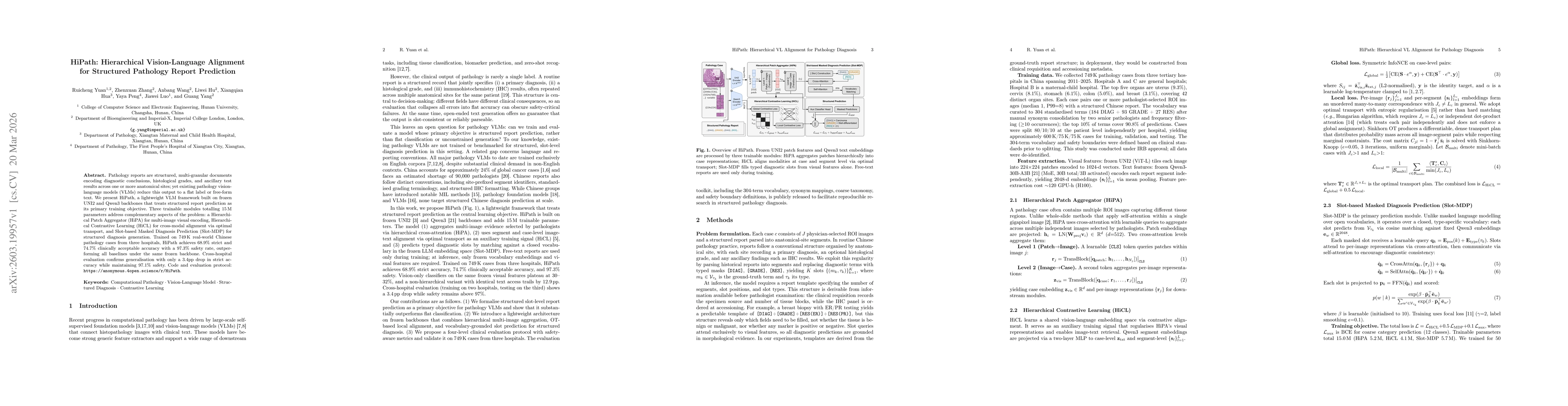 Thumbnail for HiPath: Hierarchical Vision-Language Alignment for Structured Pathology Report Prediction