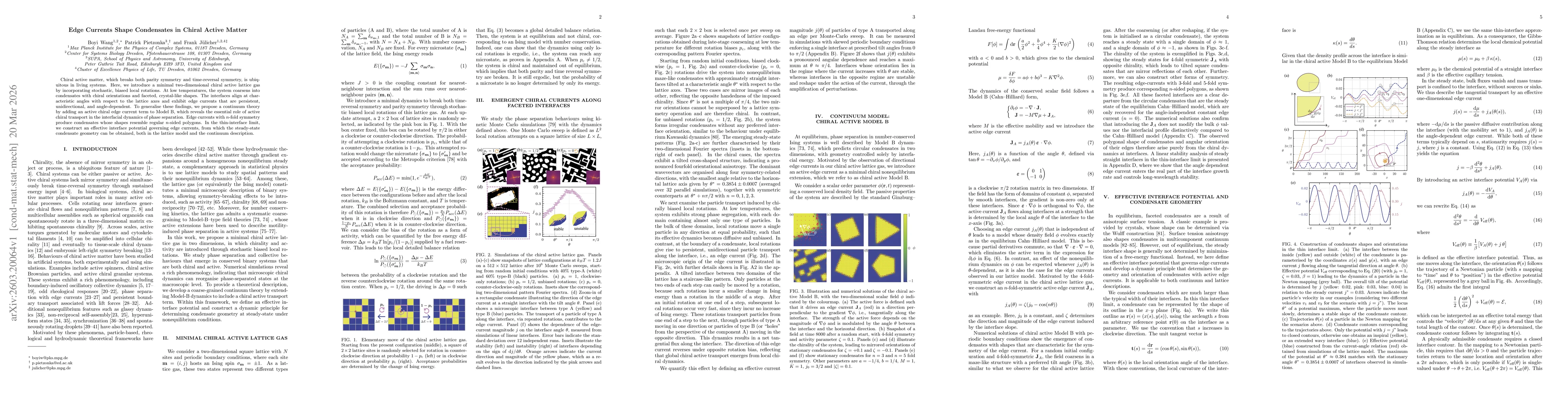 Thumbnail for Edge Currents Shape Condensates in Chiral Active Matter