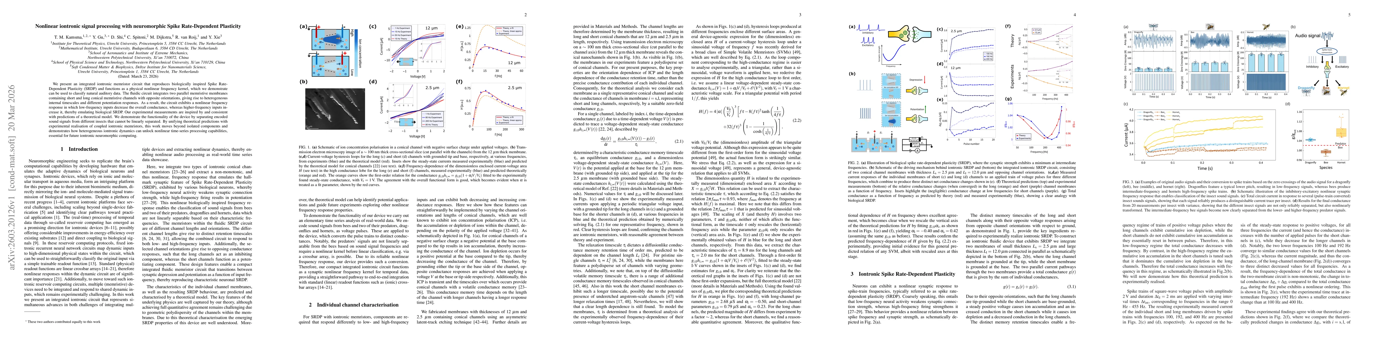 Thumbnail for Nonlinear iontronic signal processing with neuromorphic Spike Rate-Dependent Plasticity
