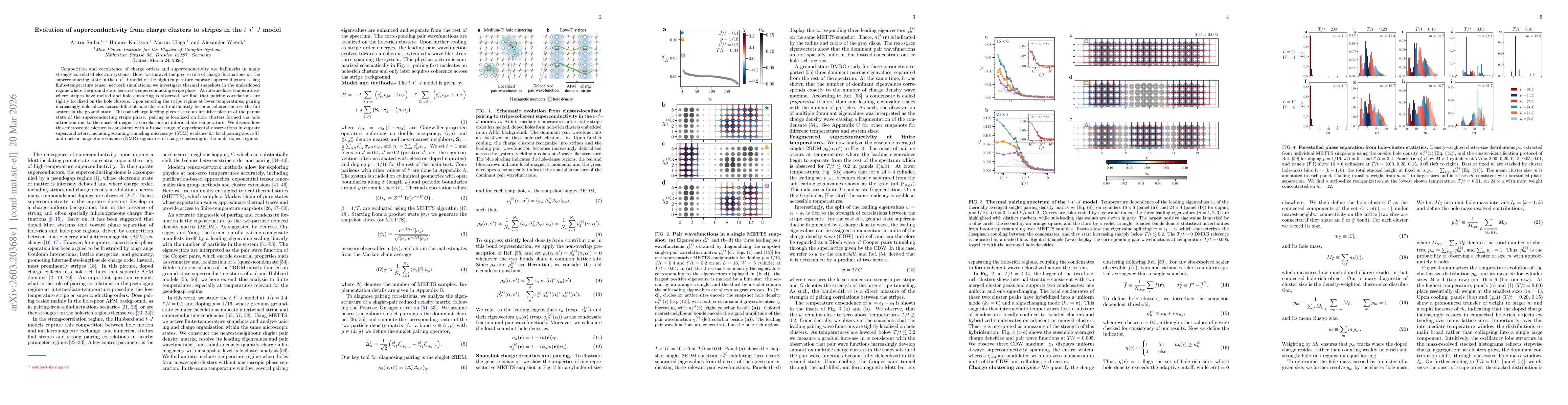 Thumbnail for Evolution of superconductivity from charge clusters to stripes in the $t$-$t'$-$J$ model