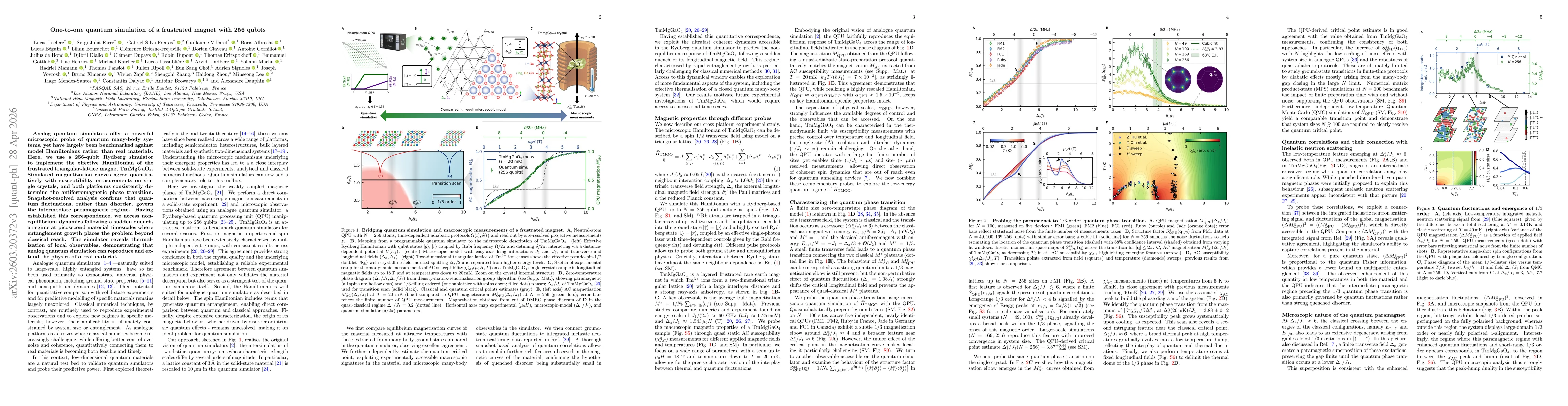 Thumbnail for One-to-one quantum simulation of the low-dimensional frustrated quantum magnet TmMgGaO$_4$ with 256 qubits