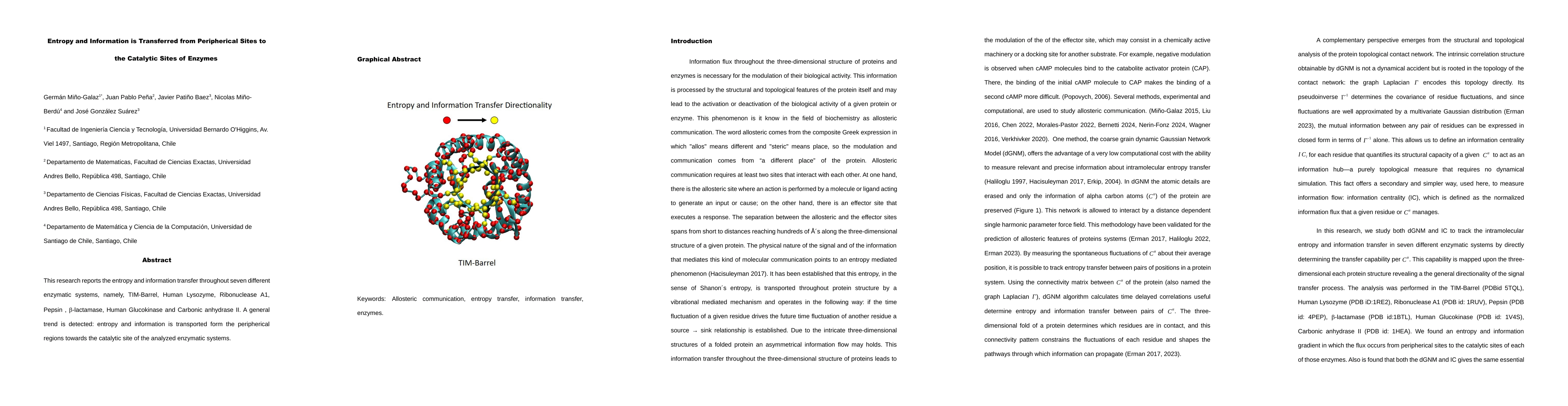 Thumbnail for Entropy and Information is Transferred from Peripherical Sites to the Catalytic Sites of Enzymes