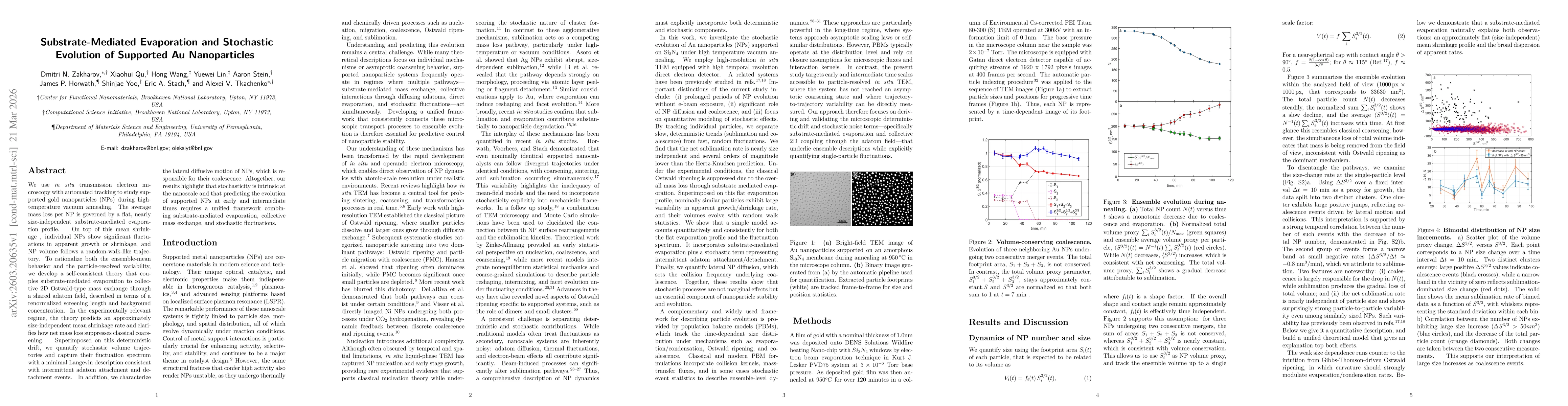 Thumbnail for Substrate-Mediated Evaporation and Stochastic Evolution of Supported Au Nanoparticles