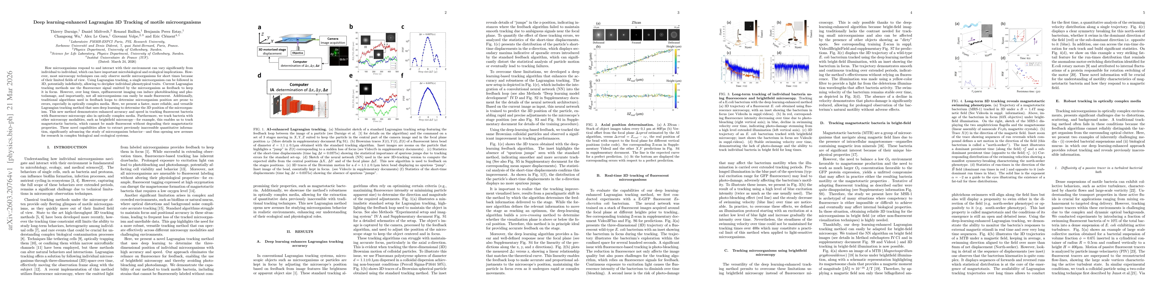 Thumbnail for Deep learning-enhanced Lagrangian 3D Tracking of motile microorganisms