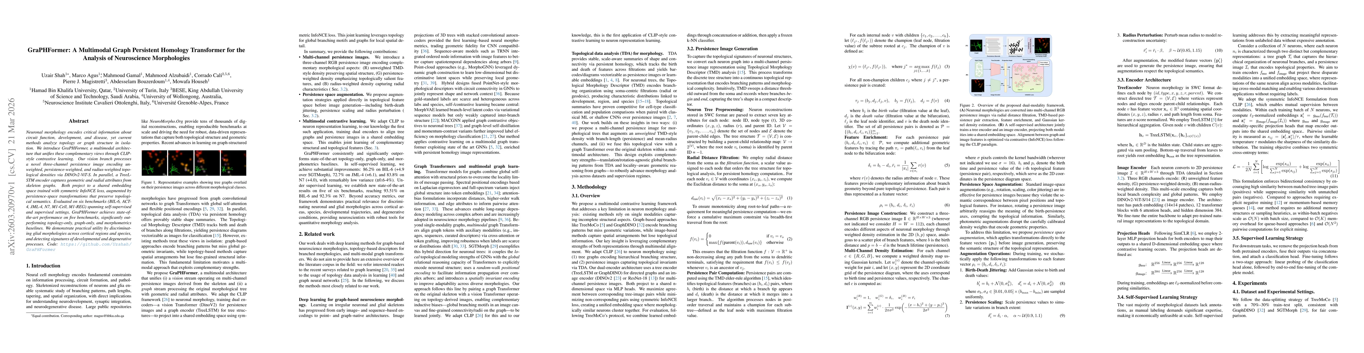 Thumbnail for GraPHFormer: A Multimodal Graph Persistent Homology Transformer for the Analysis of Neuroscience Morphologies