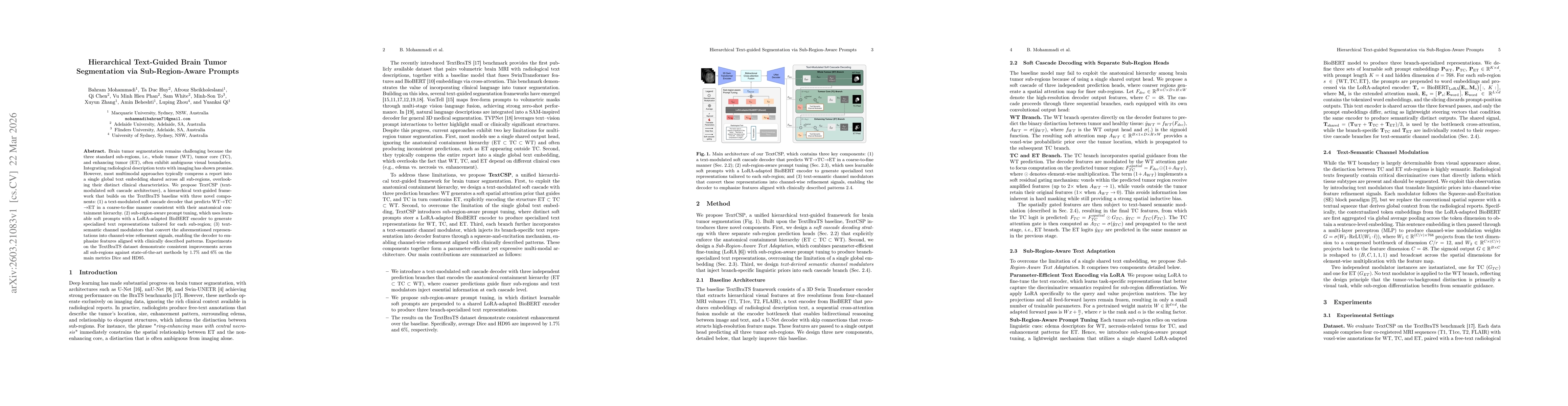 Thumbnail for Hierarchical Text-Guided Brain Tumor Segmentation via Sub-Region-Aware Prompts